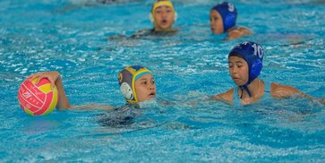 Asosiasi Polo Air Indonesia Segera Terbentuk, Target Tuntas Juni 2026!