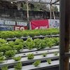 BRI Region 13 Malang Dukung Pengembangan Pertanian Modern dan Agrowisata di Desa Genengan Kabupaten Malang