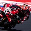 Hasil Superpole WorldSBK Emilia Romagna 2026: Nicolo Bulega Sabet Pole Usai Kalahkan Tandemnya Sendiri
