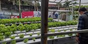 BRI Region 13 Malang Dukung Pengembangan Pertanian Modern dan Agrowisata di Desa Genengan Kabupaten Malang BRI Region 13 Malang Dukung Pengembangan Pertanian Modern dan Agrowisata di Desa Genengan Kabupaten Malang