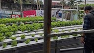 BRI Region 13 Malang Dukung Pengembangan Pertanian Modern dan Agrowisata di Desa Genengan Kabupaten Malang BRI Region 13 Malang Dukung Pengembangan Pertanian Modern dan Agrowisata di Desa Genengan Kabupaten Malang