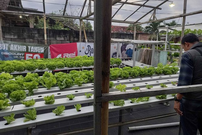 Pertanian Modern di Desa Genengan dan KUR BRI