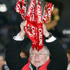 Alexander Chapman Ferguson