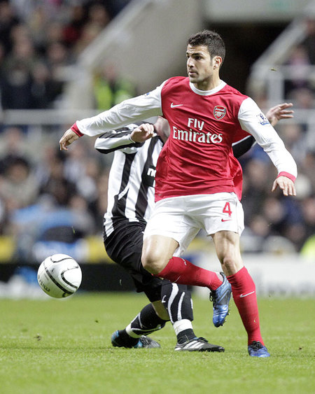 Francesc Fabregas Soler