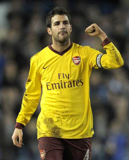 Francesc Fabregas Soler