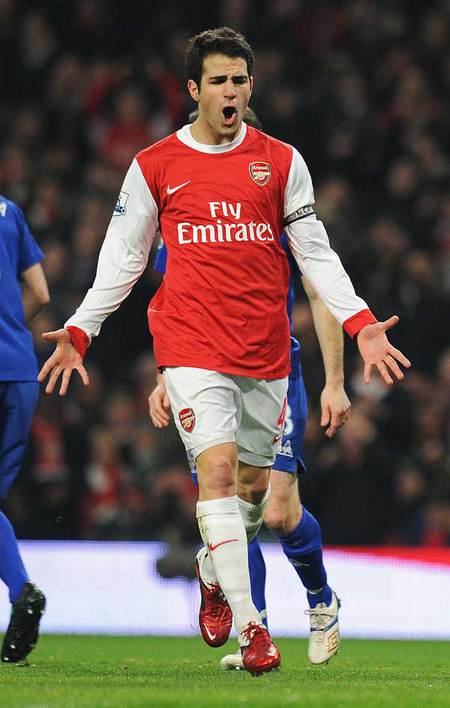 Francesc Fabregas Soler