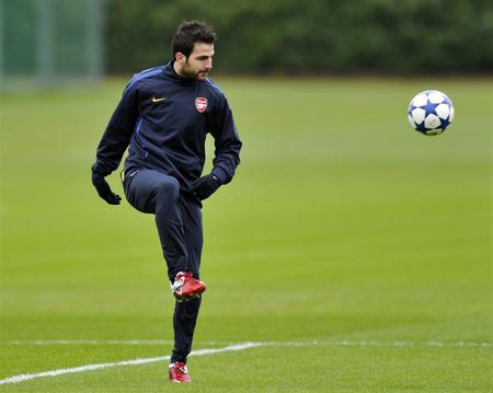Francesc Fabregas Soler