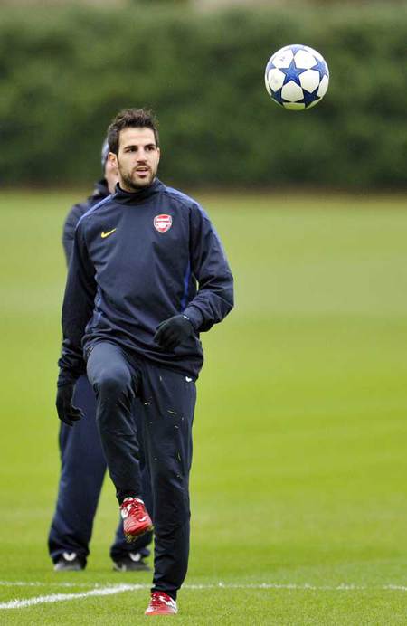 Francesc Fabregas Soler