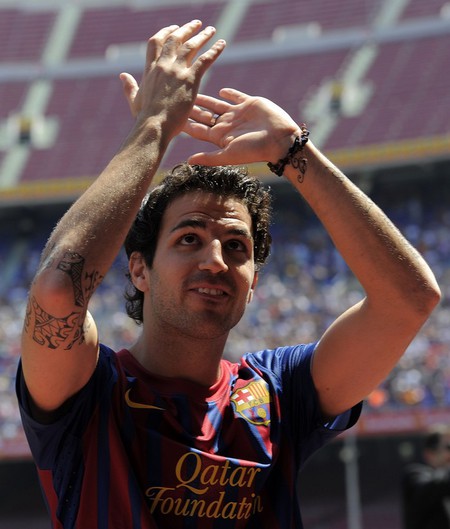 Francesc Fabregas Soler