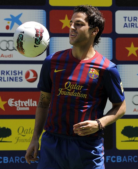 Francesc Fabregas Soler