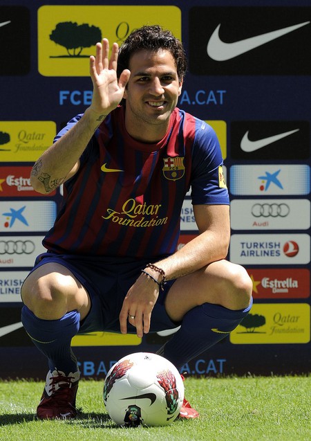 Francesc Fabregas Soler
