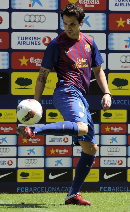 Francesc Fabregas Soler