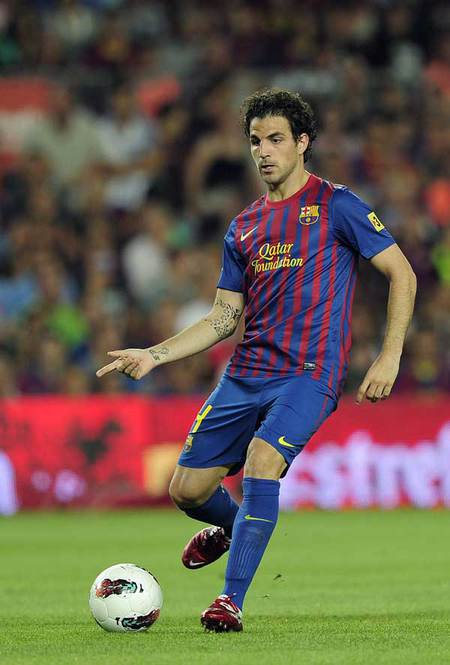 Francesc Fabregas Soler