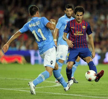 Francesc Fabregas Soler