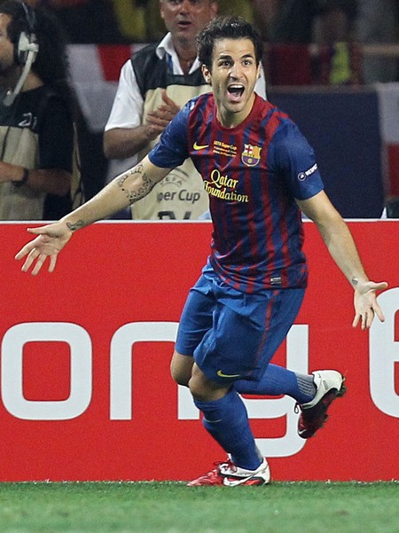 Francesc Fabregas Soler