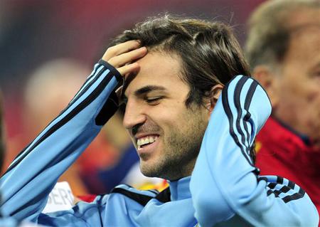 Francesc Fabregas Soler