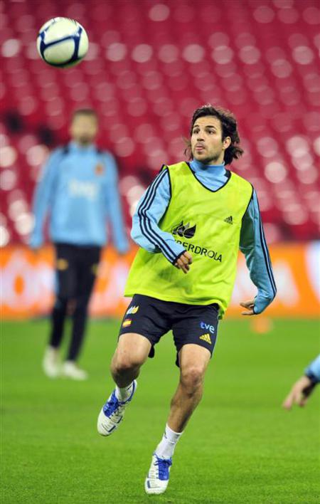 Francesc Fabregas Soler