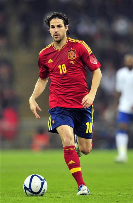Francesc Fabregas Soler