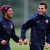 Francesc Fabregas Soler