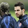 Francesc Fabregas Soler