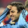 Francesc Fabregas Soler