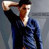 David Villa Sanchez