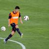 David Villa Sanchez