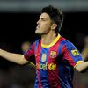 David Villa Sanchez