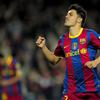 David Villa Sanchez