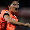 David Villa Sanchez