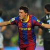 David Villa Sanchez