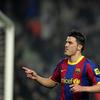 David Villa Sanchez