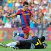 David Villa Sanchez