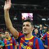 David Villa Sanchez