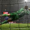 Edwin van der Sar