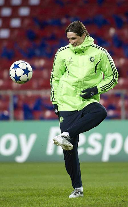 Fernando Jose Torres Sanz