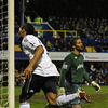 Florent Johan Malouda