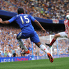 Florent Johan Malouda