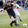 Francesco Totti