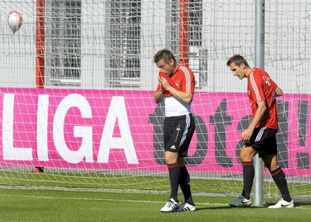 Ivica Olic