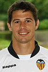 Nikola Zigic