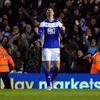 Nikola Zigic