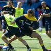 Zlatan Ibrahimovic