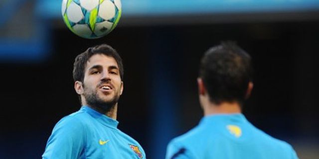 Fabregas: Saya Lebih Berkembang Di Barcelona Fabregas: Saya Lebih Berkembang Di Barcelona
