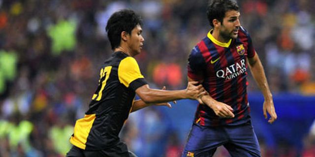 Fabregas Cedera Fabregas Cedera