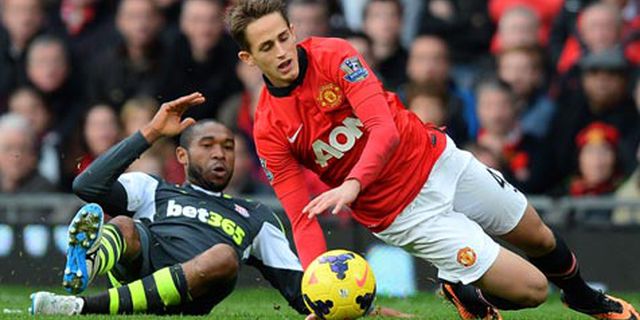 Van Persie: Januzaj Adalah Youngster Terbaik Van Persie: Januzaj Adalah Youngster Terbaik