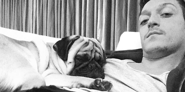Ozil Pamerkan Foto Bersama Dua Anjing Peliharaannya