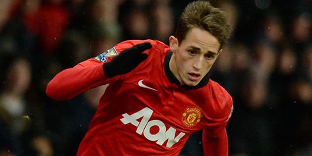 Neville: Januzaj Satu-satunya yang Positif dari United