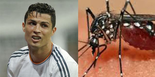 Ronaldo Dihantui Teror Nyamuk 