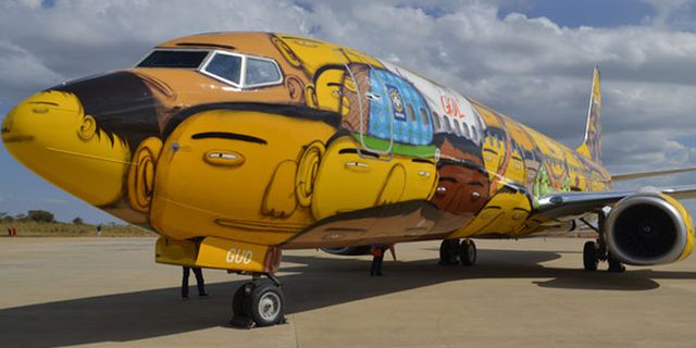GoL Boeing 737, Pesawat Khusus Timnas Brasil GoL Boeing 737, Pesawat Khusus Timnas Brasil